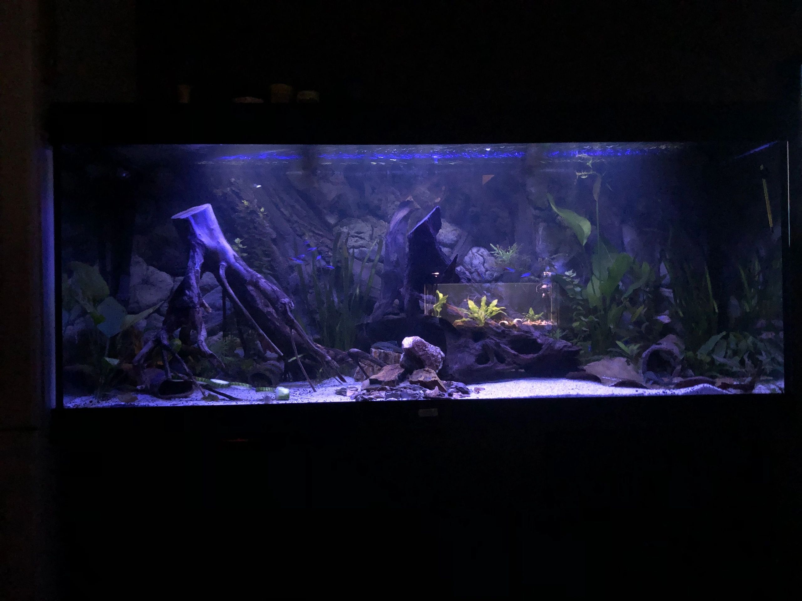 Led profiel 3 meter opbouw hoog 15 mm slim line